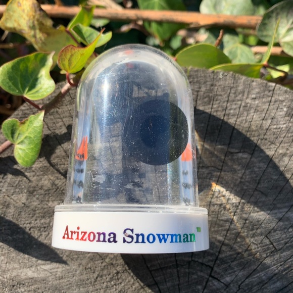 Arizona Snowman Snowglobe - Picture 2 of 4